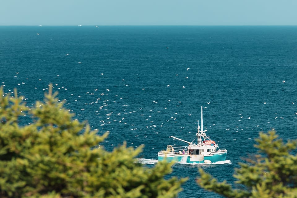 A small teal fishing boat crossing a deep blue Atlantic bay framed by pines.